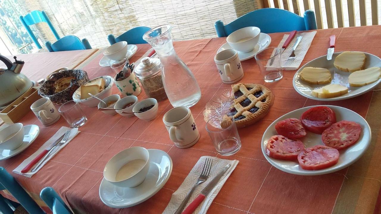 B&B Calabria Scigliano Ngoại thất bức ảnh